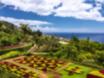 madeira